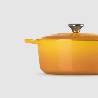 Cocotte rotonda Nectar 26 cm